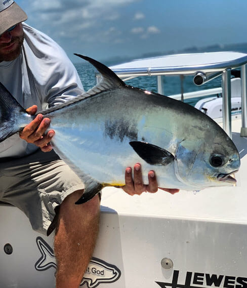 A permit caught on a backcountry fishing excursion in the lower florida keys with hot water fishing. 