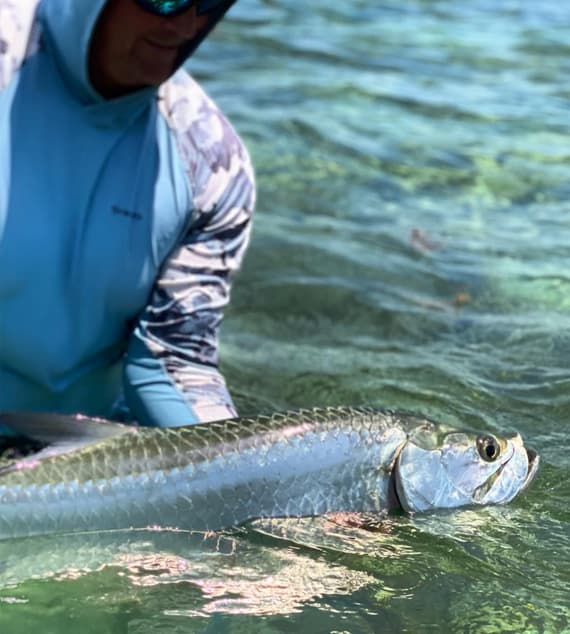 An image of an angler catching a beautiful tarpon on a 3/4 day charter with Hot Water Fishing