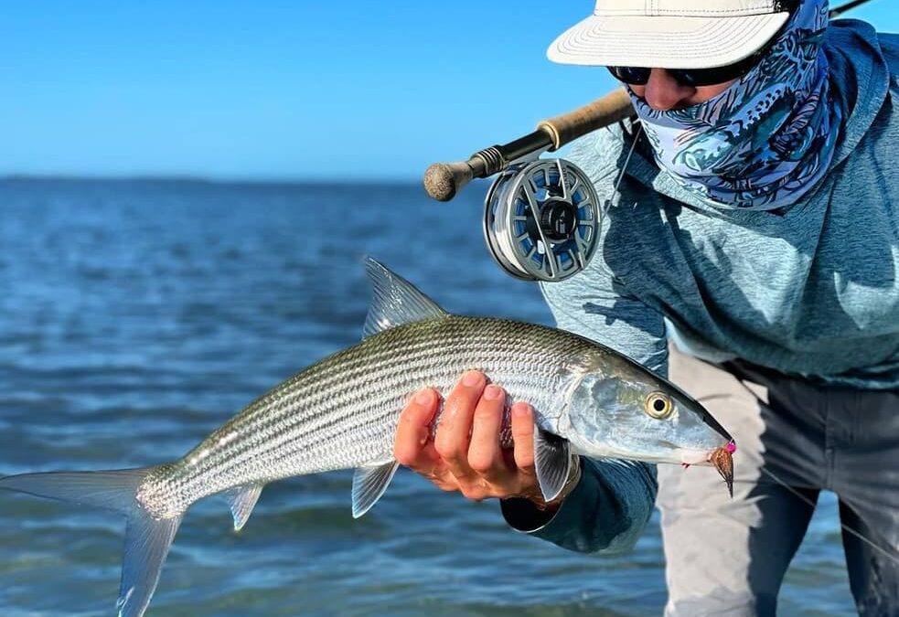 Florida Keys “Go-To” Flies